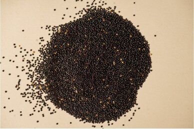 Amaranth seeds 2