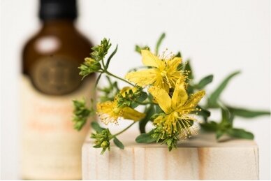 St. John's wort oil (Hypericum perforatum oleum) 2