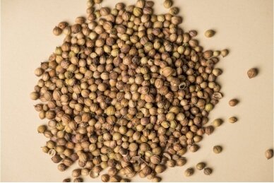 Coriander seeds 2