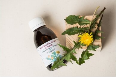 Dandelion blossom syrup (Sirupus Taraxacum officinale)