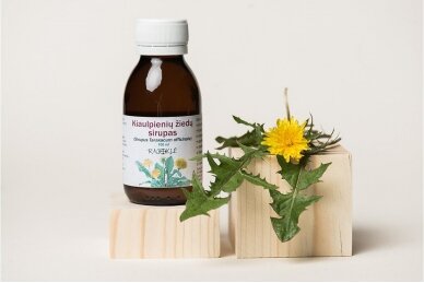 Dandelion blossom syrup (Sirupus Taraxacum officinale) 1