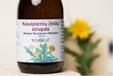 Kiaulpienių žiedų sirupas (Sirupus Taraxacum officinale) 2