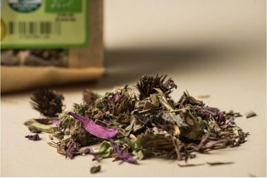 Echinacea herb (Echinacea purpurea) 3