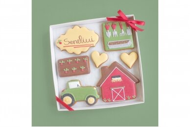 Set for "Grandpa Gardener", 7 gingerbreads in a box