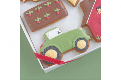 Set "For Father Farmer", 7 gingerbreads in a box 3